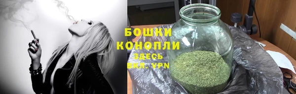 apvp Козельск
