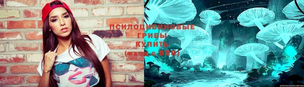 apvp Козельск