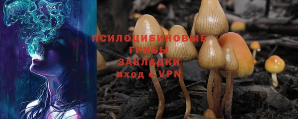 мяу мяу мука Приозерск