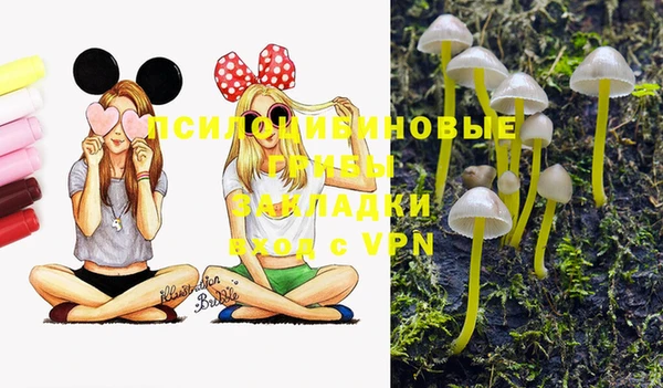mdma Корсаков