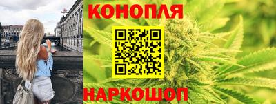 стаф Малгобек