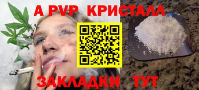 стаф Малгобек