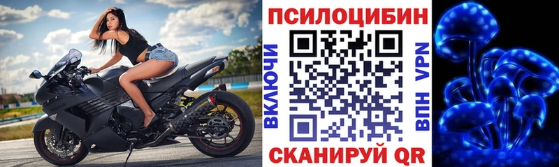 Псилоцибиновые грибы GOLDEN TEACHER  Каменск-Шахтинский 