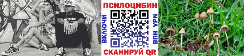 Псилоцибиновые грибы прущие грибы Каменск-Шахтинский