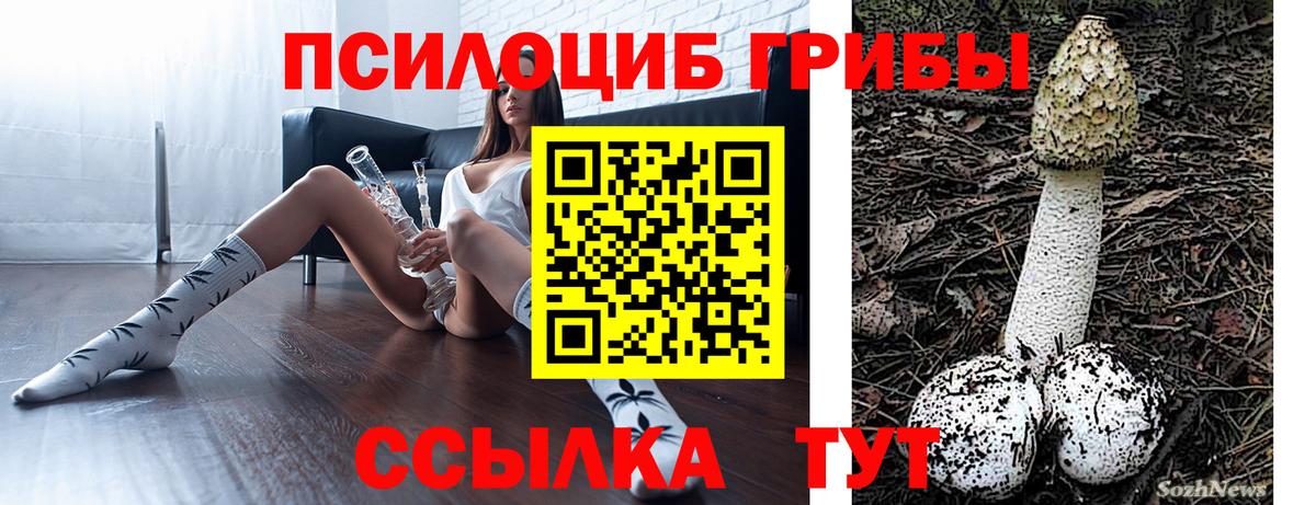Галлюциногенные грибы ЛСД Каменск-Шахтинский