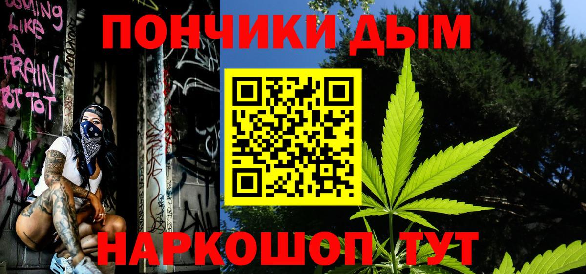 Шишки марихуана семена Каменск-Шахтинский